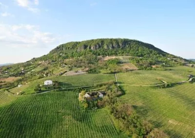Horváth Pince