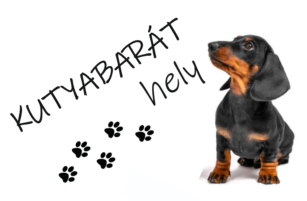borszakuzlet-kutyabarat
